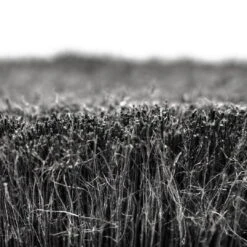 Muc-Off Super Soft Wash Brush Fahrradbürste, Rahmenbürste Mit Gummischutz -Rad Teile Welt Geschaft 59203796 04KGsO86QdZJiFS 1280x1280